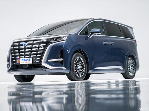 腾势汽车 腾势D9 2022款 DM-i 970 四驱旗舰型