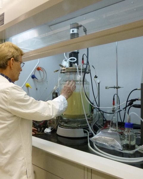 普渡大学西北分校将餐厨垃圾转化为绿色氢气 并授权给能源公司