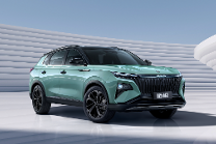 13万级混动SUV皓极预售火爆，4小时订单超7000