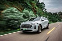 魏牌“绝配”318