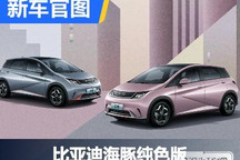 售价保持不变 比亚迪海豚推纯色版车型