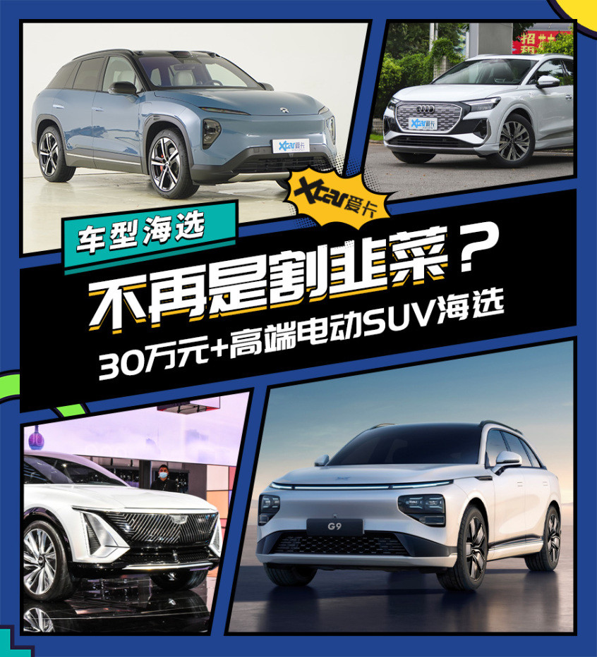 30萬以上電動車