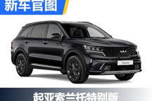 全系仅1款配置 起亚索兰托特别版官图