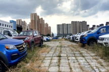 6月销量增速有望超两成，谁之功？