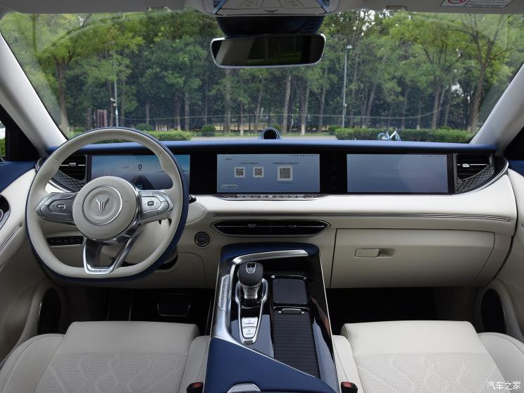 嵐圖汽車(chē) 嵐圖FREE 2021款 四驅(qū)純電版專(zhuān)屬豪華套裝