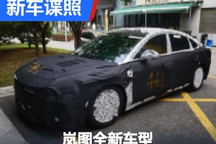 定位中大型车 岚图第三款量产车型谍照