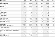 大陆集团二季度销售额94亿欧元，对下半年发展持乐观态度