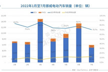 政策加持VS挑战诸多，欧洲7月电动车市还能打吗？