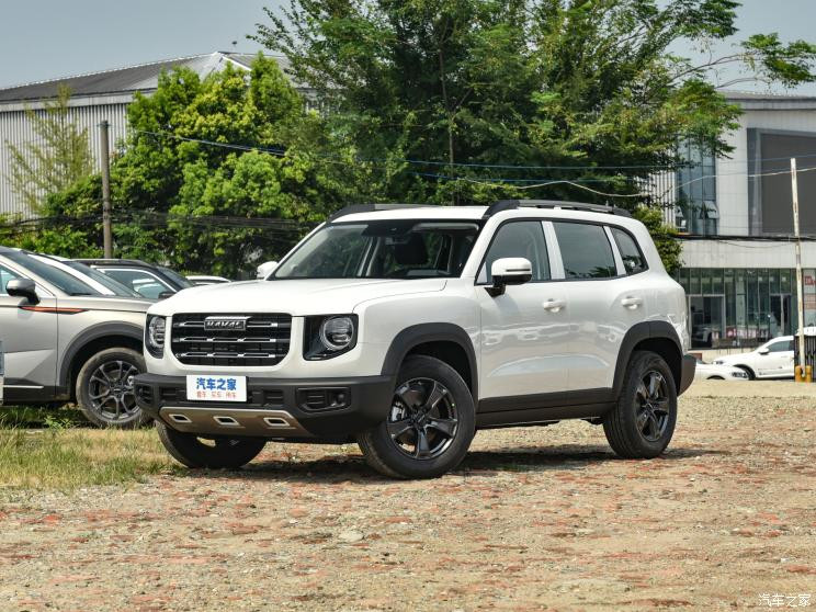 長(zhǎng)城汽車 哈弗大狗 2022款 1.5T DCT兩驅(qū)哈士奇版