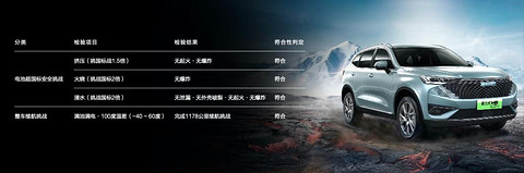 图片29.jpg