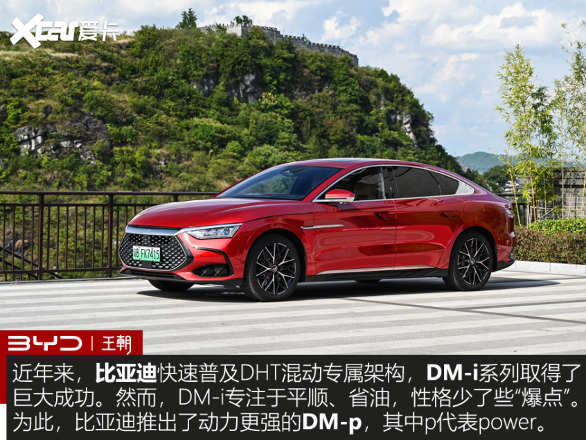 漢DM-p