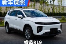 搭换电技术/提供6座可选 睿蓝RL9申报图