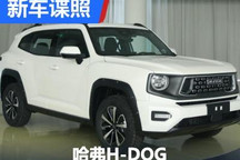 238马力2.0T+四驱 哈弗H-DOG申报图曝光