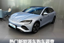 比亚迪海豹等 热门新能源车购车调查
