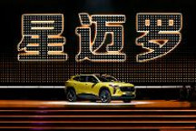 小雪OS车机系统加持，“大黄蜂SUV”正式上市