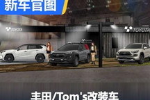 五花八门 丰田/Toms东京改装展阵容