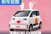 萌萌小兔兔 宝骏KiWi EV特别版官图