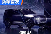 不愧是国产百万级产品 仰望U8正式发布
