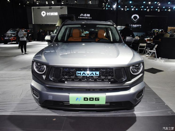 長(zhǎng)城汽車(chē) 哈弗H-DOG新能源 2023款 基本型