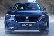 岚图FREE标准版8155芯片免费更换方案