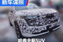 柠檬架构新产品？哈弗全新SUV谍照曝光