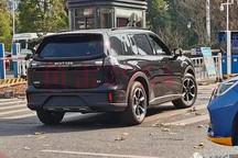 有转机？自游家NV现身奇瑞商用车总部