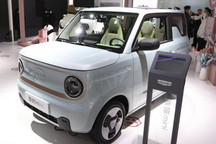 提供2种续航车型 吉利熊猫mini开启预售