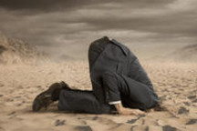 1月新能源销量：别自欺欺人，大趋势很明显了