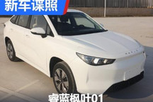 最大功率120千瓦 疑似睿蓝枫叶01申报图