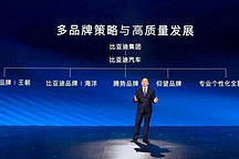 独家|比亚迪专业个性化品牌定位介于腾势和仰望之间,首款车型对标奔驰G级车