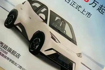 海鸥预售价泄露？比亚迪：消息不实