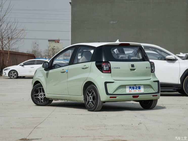 江汽集團(tuán) 花仙子 2023款 周年款 301km 四葉草 36kW