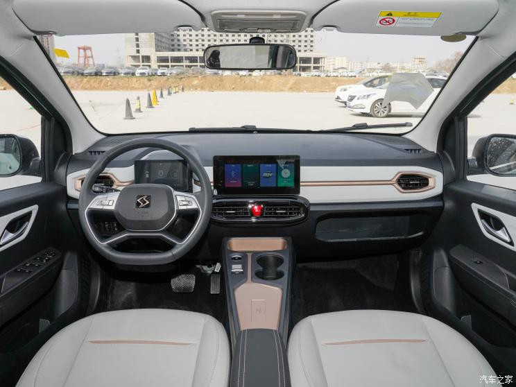 江汽集團(tuán) 花仙子 2023款 周年款 301km 四葉草 36kW