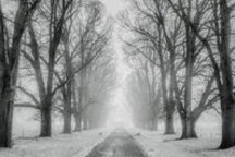 宁德时代：赚钱、花钱、准备过冬