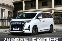 图观车市:2月新能源车上险销量排行榜