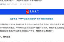 合肥:个人购买新能源车,最高补5000元