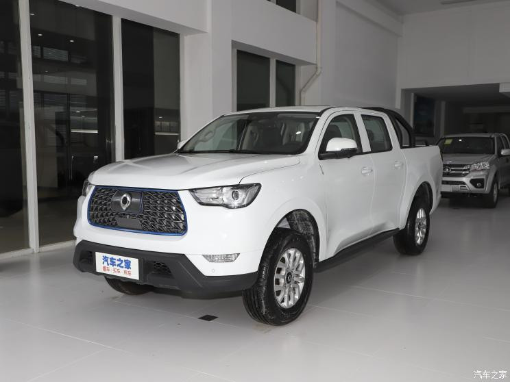 長城汽車 炮新能源 2021款 商用版領(lǐng)航型小雙