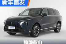 预计售价35-40万元 魏牌蓝山实车亮相