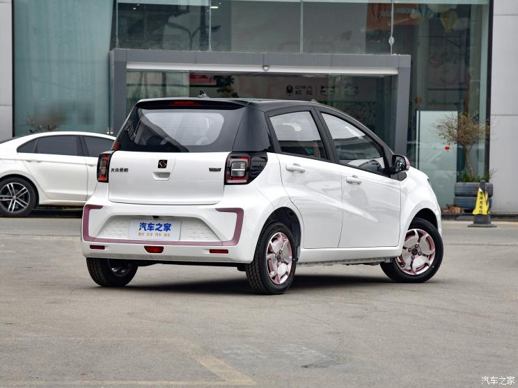 Jiang Automobile Group Huaxianzi, юбилейная модель, 2023 г., 301 км, гипсофила, 36 кВт