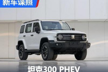 配2.0T发动机 坦克300 PHEV申报图曝光