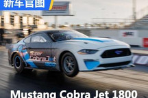 福特Mustang直线加速赛赛车官图发布