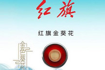 传统+新能源+高端 红旗发布三大子品牌