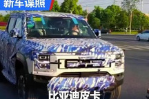 大LOGO超亮眼 比亚迪皮卡谍照曝光！