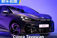 定位轿跑SUV Cupra Tavascan官图发布