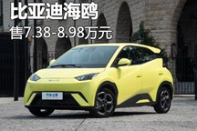 售7.38万元起 比亚迪海鸥正式上市!