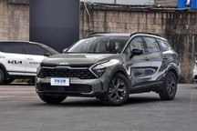 同比增长8.3% 起亚4月全球销量259524辆