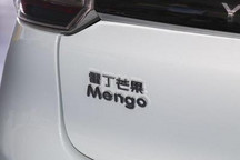 转型最终不成功？ 雷丁汽车申请破产