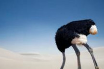 上海惊醒一群装睡的人