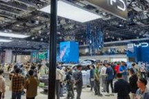 本土派接管中国车市？| 直播说