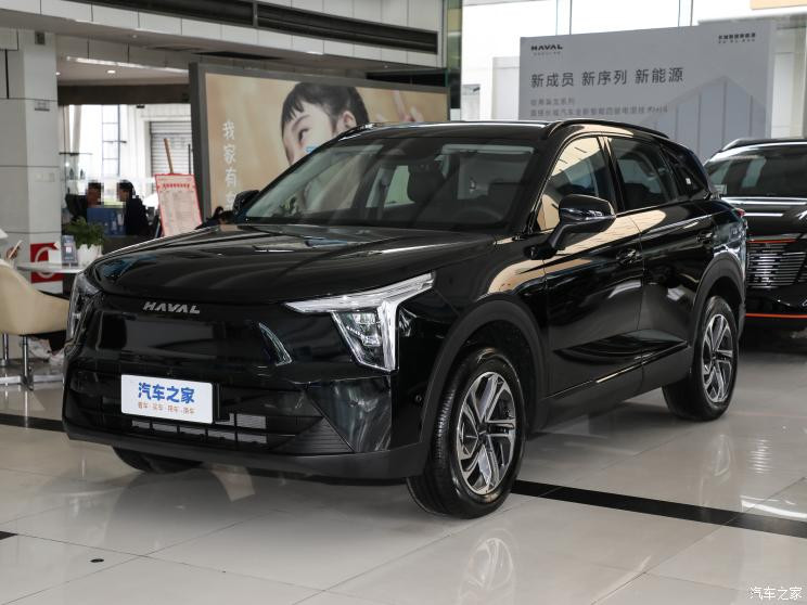 長城汽車 哈弗梟龍 2023款 1.5L 110KM領(lǐng)航版